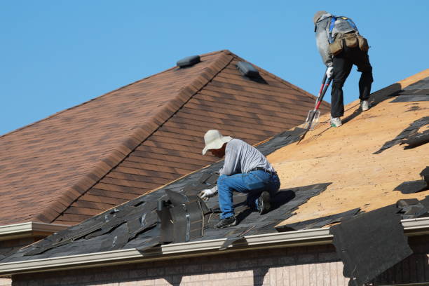 Best Roof Insulation Installation  in Wrightsboro, NC